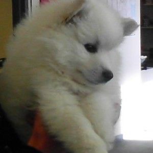 Meet your Posher, Tania